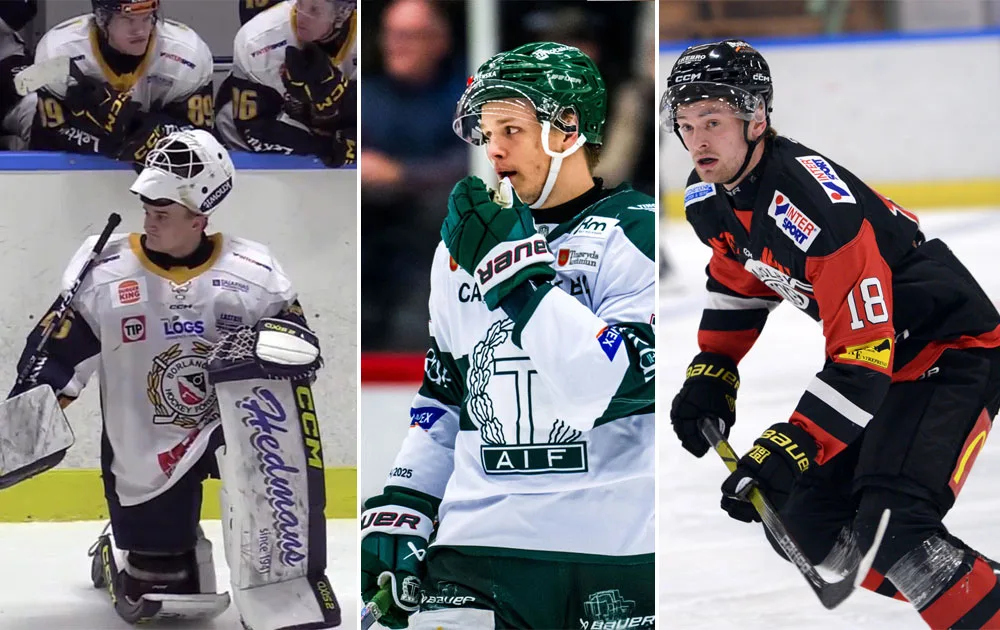 Emil Ranehamn, Edvin Frylén och Wiking Malmunger borde vara spelare som är aktuella för Hockeyettans topplag kommande säsong. Foto: Skämrudmp/Bildbyrån/Elin Lundgren