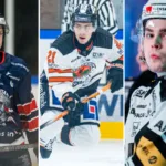 Gör som föredömena – vänta med Hockeyallsvenskan