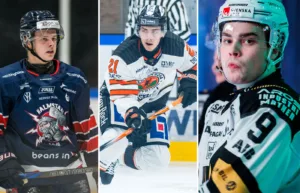 Gör som föredömena – vänta med Hockeyallsvenskan