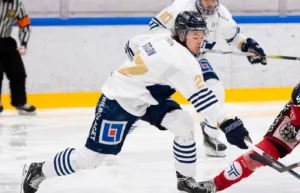 Timrå värvar talang från Hockeyettan