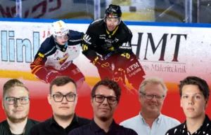 Panelen: ”Ganska klara favoriter”