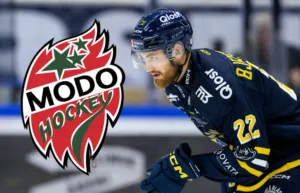 MoDo värvar från SSK: ”Gedigen centertyp”