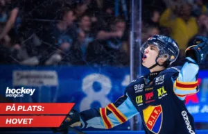 Stortalangen blev hjälte: ”Det är magiskt”