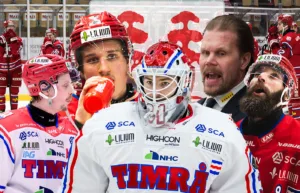 Timrå: Säsongsanalys och framåtblick