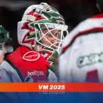 SHL-målvakten kallas in till VM-laget