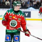 ”Löven” värvar tidigare SHL-back – återvänder till Sverige