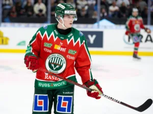 ”Löven” värvar tidigare SHL-back – återvänder till Sverige