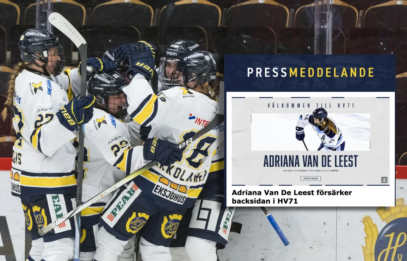 HV71 förstärker med kanadensisk backtalang