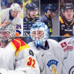 Sammanställning: Så har SHL-klubbarna värvat