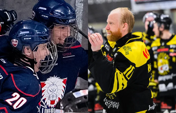 Uppgifter: Hockeyallsvenska klubben värvar svensk i USA