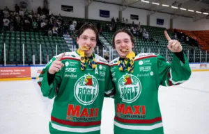 Uppgifter: Plockar in tvillingarna