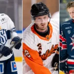 Tio potentiella målskyttar för Hockeyettan-klubbarna att värva