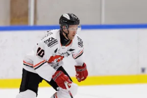 MJÖRNBERG: En föredömligt trist historia