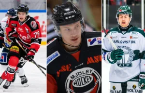 Revanschspelare – de har mer att leverera i Hockeyettan