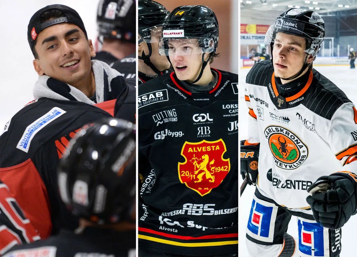 Hockeyettan-fynden vars destination fortfarande är oklar