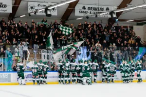 MJÖRNBERG: En säsong för att reparera tron på en ljus framtid
