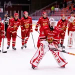 Beskedet: Beviljas elitlicens