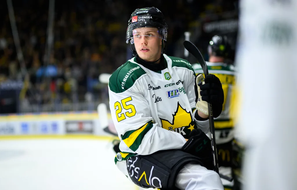 Lovande backen klar för spel i Hockeyettan