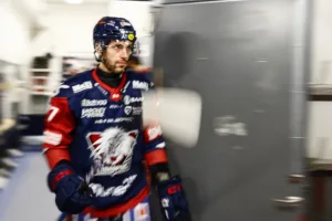 LHC-flopp tvingas lägga av efter skadeproblem