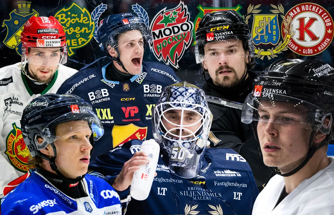 De 15 bästa värvningarna – inom HockeyAllsvenskan