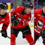 Fullbordar svepningen – svenskarna klara för AHL-final