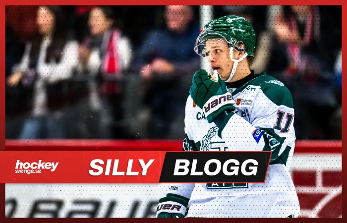 LIVE: Västervik värvar från Hockeyallsvenskan