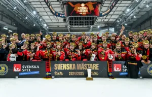 Spelschema och resultat: Så spelar SHL-lagen under försäsongen 2025