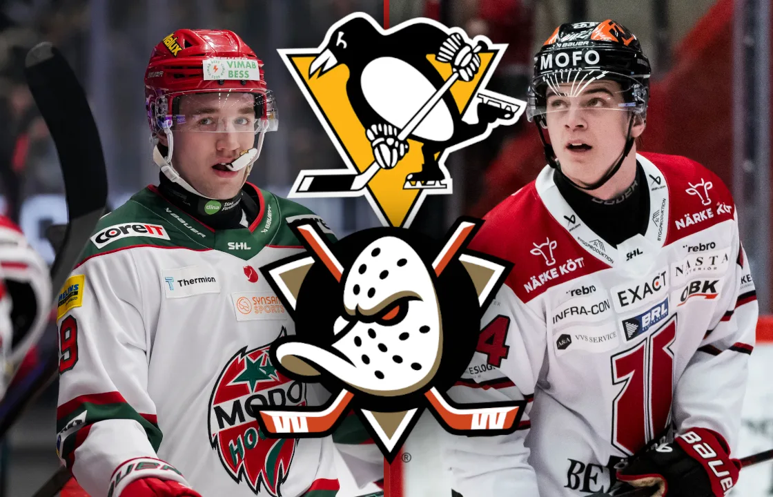 Skriver NHL-kontrakt – miljonbelopp till svenska klubbarna