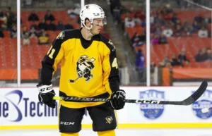 Värvar AHL-back: ”Känns spännande”