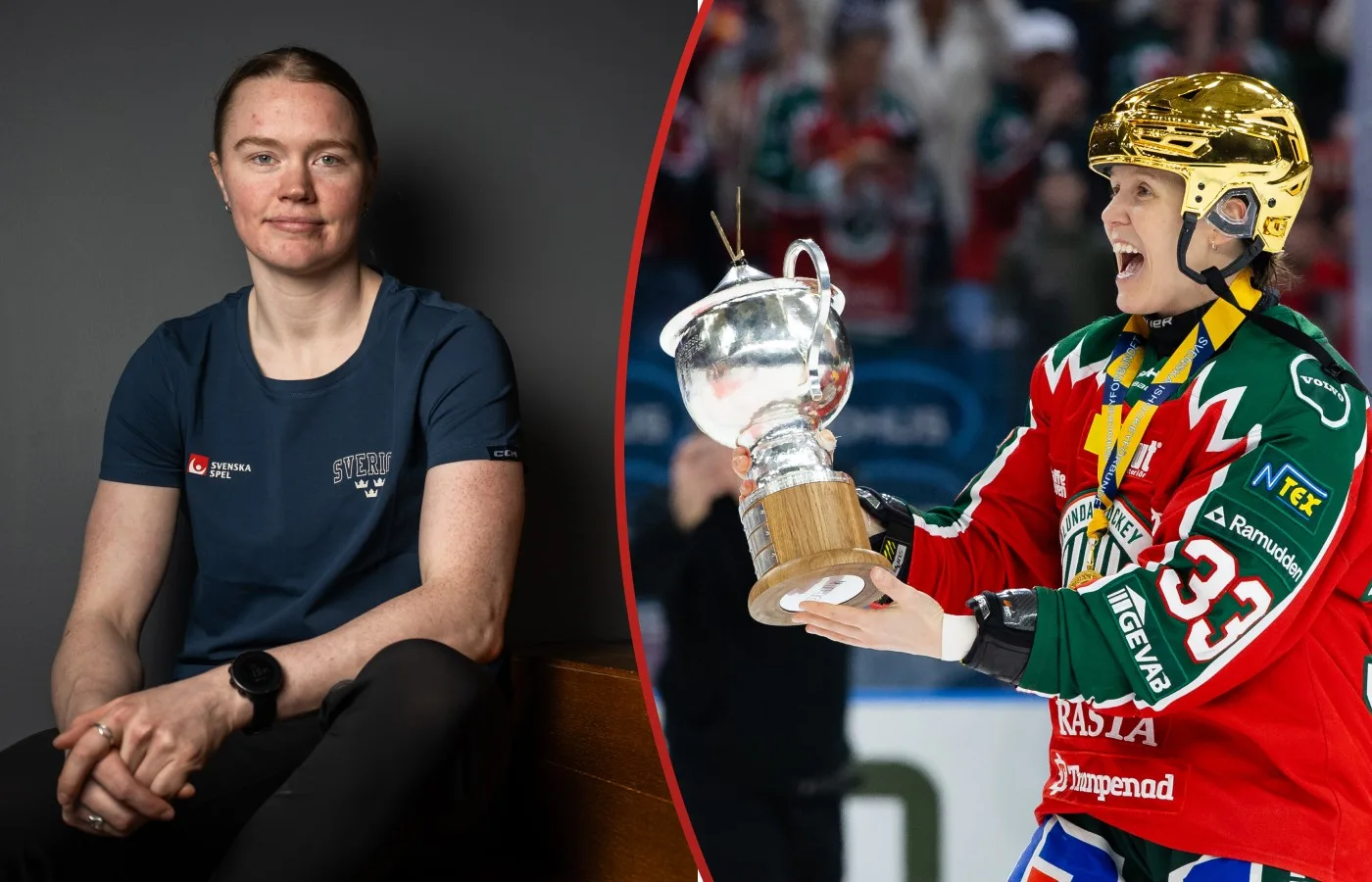 SDHL-stjärnorna valda i draften i natt