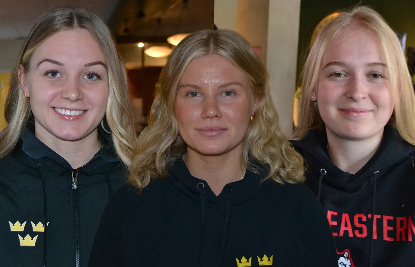 GENOMGÅNG: Så har det gått för våra spelare i andra ligor