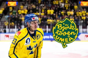 Landslagsstjärnans dröm – spel i allsvenska klubben
