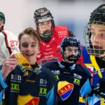 Nio svenskar valda i CHL:s importdraft