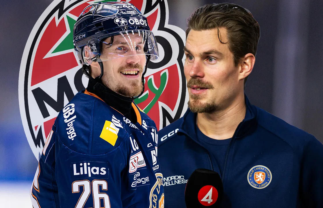 Stjärnan om flytten till MoDo: ”Hade kunnat stanna i SHL”