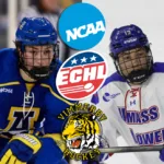 Tillbaka i Sverige – efter spel i ECHL: ”Fight varje match”