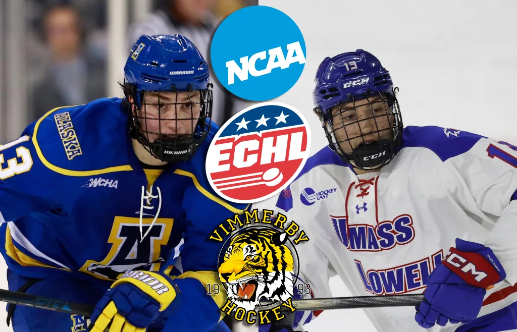 Tillbaka i Sverige – efter spel i ECHL: ”Fight varje match”
