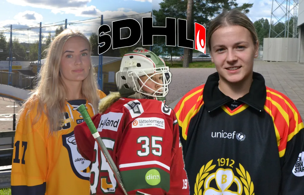 Stor genomgång: Så ser SDHL-klubbarnas lagbyggen ut