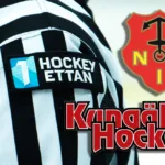 De tackar ja till platserna i Hockeyettan