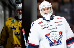 Doldisen: ”Då är jag redo att åka tillbaka till Sverige”