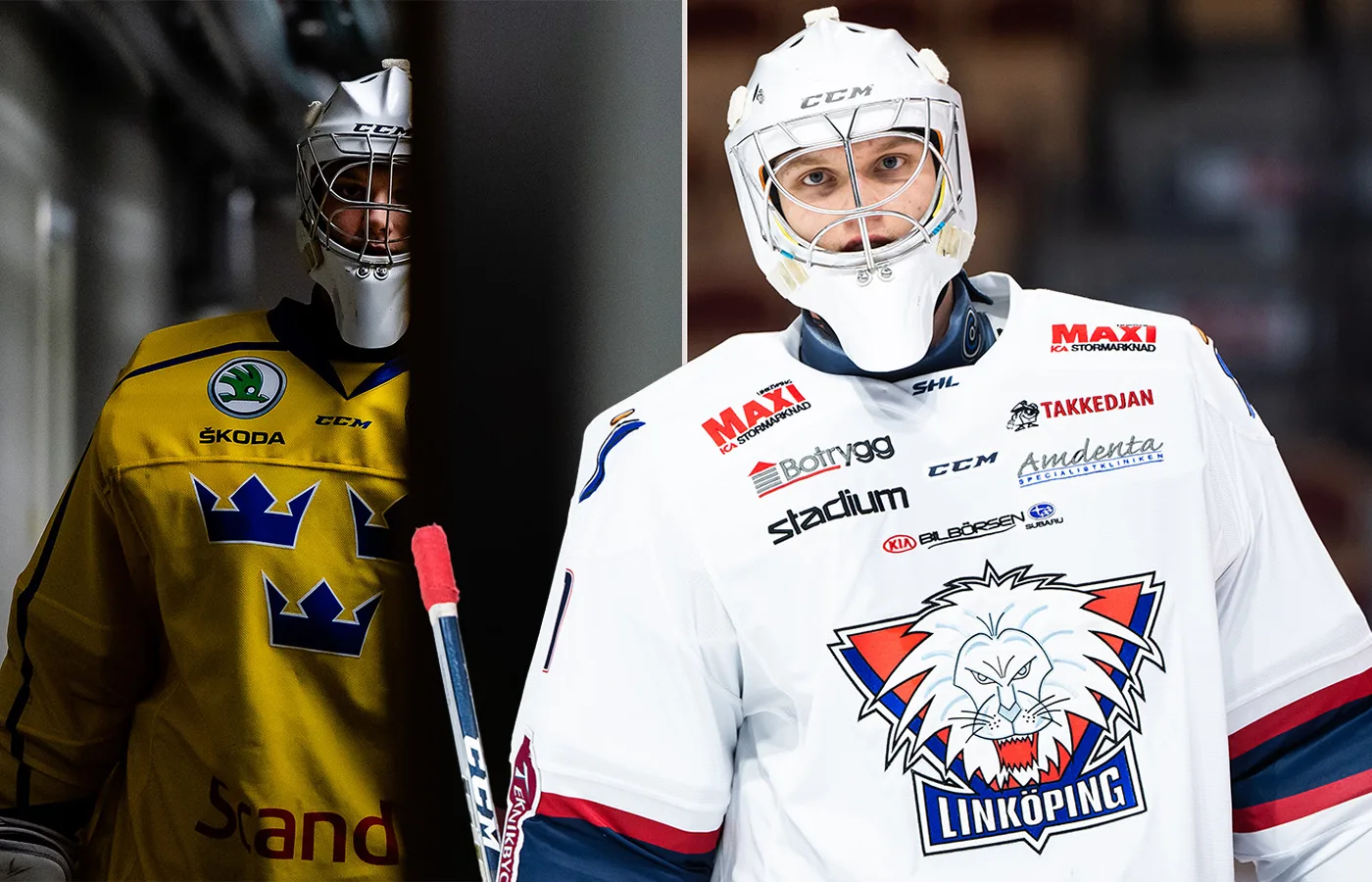 Doldisen: ”Då är jag redo att åka tillbaka till Sverige”
