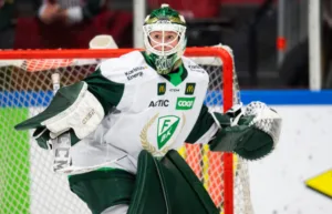Beskedet: Tar steget till herrliga