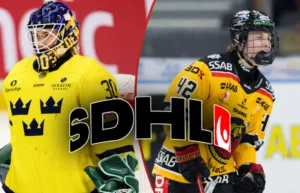 Genomgång: Tio SDHL-lag – tio toppvärvningar