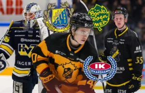 SHL-talangerna som har lånats ut till Hockeyallsvenskan