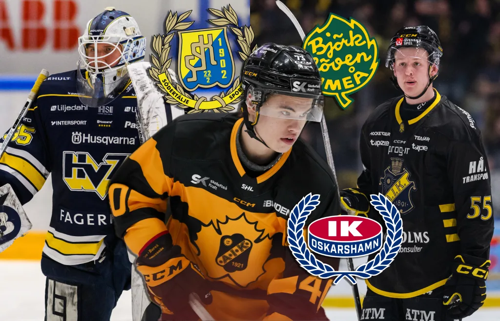 SHL-talangerna som har lånats ut till Hockeyallsvenskan
