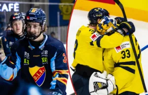 Jansson: Det är dags nu – begränsa antalet importer