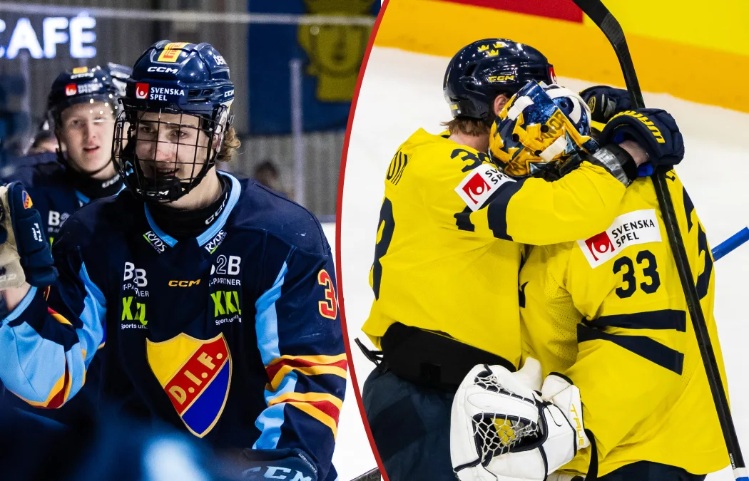 Jansson: Det är dags nu – begränsa antalet importer