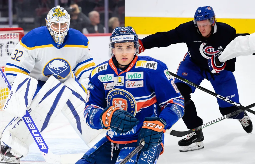 NHL- och AHL-svenskarna som är kontraktslösa