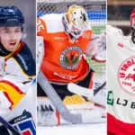 Så kommer ettan-värvningarna färga i allsvenskan
