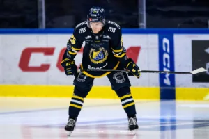 MJÖRNBERG: Spelarstöld och namndumpning