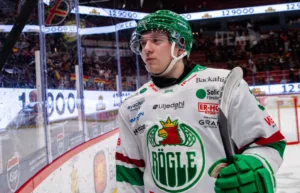 Lämnade Rögle – klar för Hockeyettan-spel